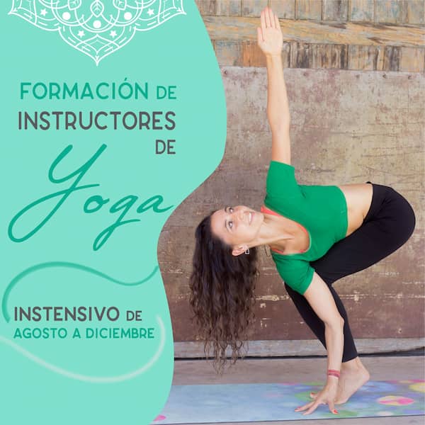 Miniatura del curso